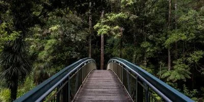 解决qq没法赞别人名片问题
